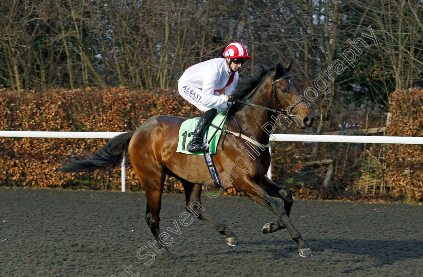 Take-A-Stand-0001 
 TAKE A STAND (Jack Mitchell)
Kempton 16 Feb 2022 - Pic Steven Cargill / Racingfotos.com