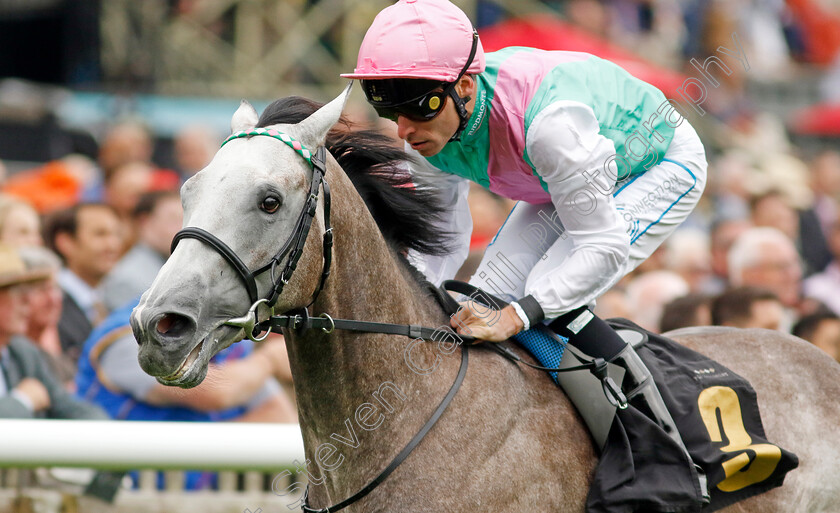 Field-Of-Gold-0002 
 FIELD OF GOLD (Kieran Shoemark) wins The Weatherbys British EBF Maiden Stakes
Newmarket 12 Jul 2024 - pic Steven Cargill / Racingfotos.com