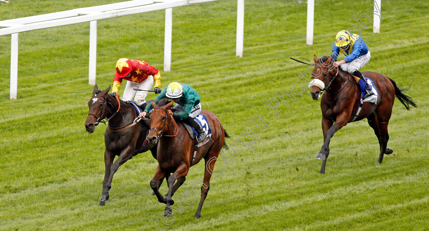 Hereby-0002 
 HEREBY (Harry Bentley) beats SAPA INCA (left) in The Londonmetric Noel Murless Stakes
Ascot 4 Oct 2019 - Pic Steven Cargill / Racingfotos.com