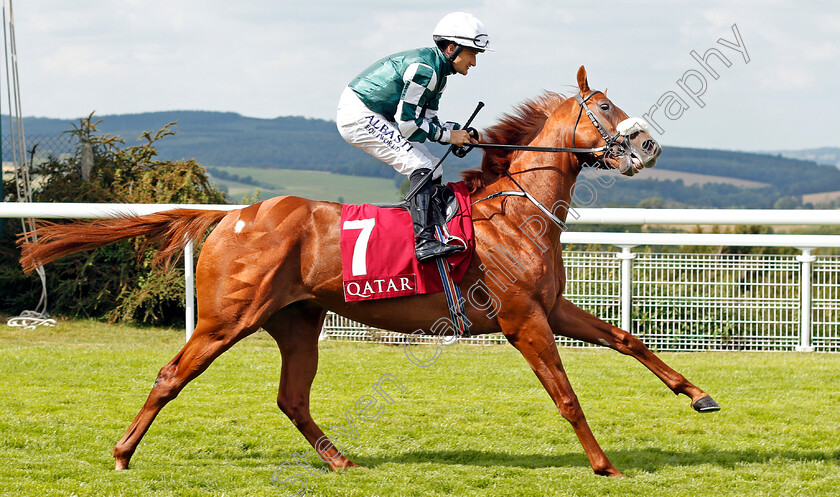 Leo-De-Fury-0001 
 LEO DE FURY (Shane Foley)
Goodwood 1 Aug 2019 - Pic Steven Cargill / Racingfotos.com