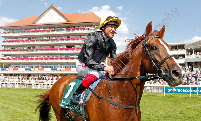 Stradivarius-0011 
 STRADIVARIUS (Frankie Dettori) after The Weatherbys Hamilton Lonsdale Cup
York 23 Aug 2019 - Pic Steven Cargill / Racingfotos.com