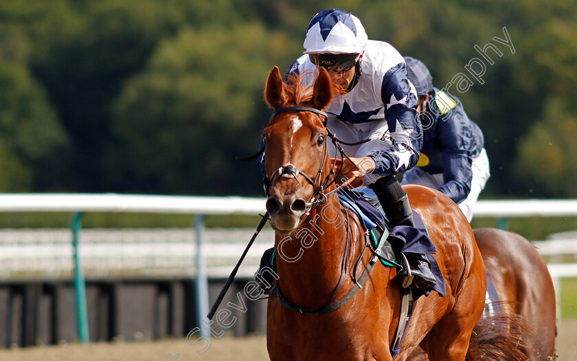 Miami-Joy-0007 
 MIAMI JOY (Sean Levey) wins The Betway British Stallion Studs EBF Novice Auction Stakes
Lingfield 4 Aug 2020 - Pic Steven Cargill / Racingfotos.com