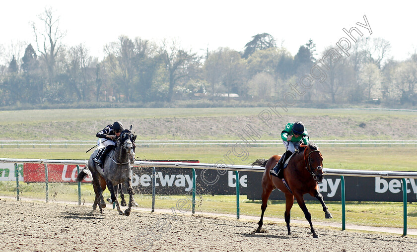 Kachy-0002 
 KACHY (Richard Kingscote) wins The Betway All-Weather Sprint Championships Stakes
Lingfield 19 Apr 2019 - Pic Steven Cargill / Racingfotos.com