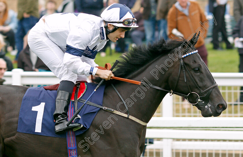 Brazen-Idol-0002 
 BRAZEN IDOL (Robert Tart)
Yarmouth 14 Sep 2021 - Pic Steven Cargill / Racingfotos.com