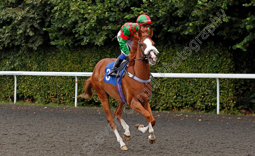 Emperor-Dream-0001 
 EMPEROR DREAM (George Rooke)
Kempton 7 Aug 2024 - Pic Steven Cargill / Racingfotos.com