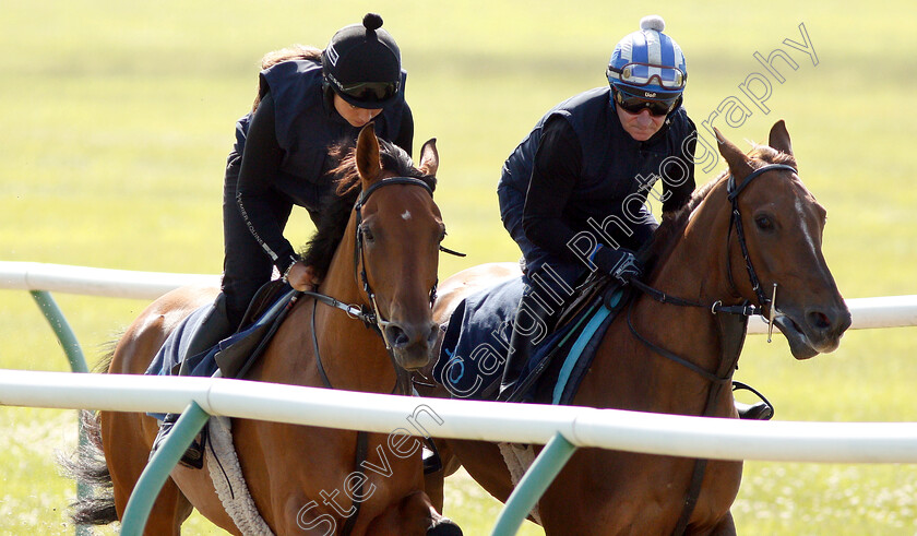 Bryony-Frost-0009 
 BRYONY FROST and Richard Hills exercising Arabian racehorses ahead of DIAR day at Newbury
Newmarket 27 Jun 2019 - Pic Steven Cargill / Racingfotos.com