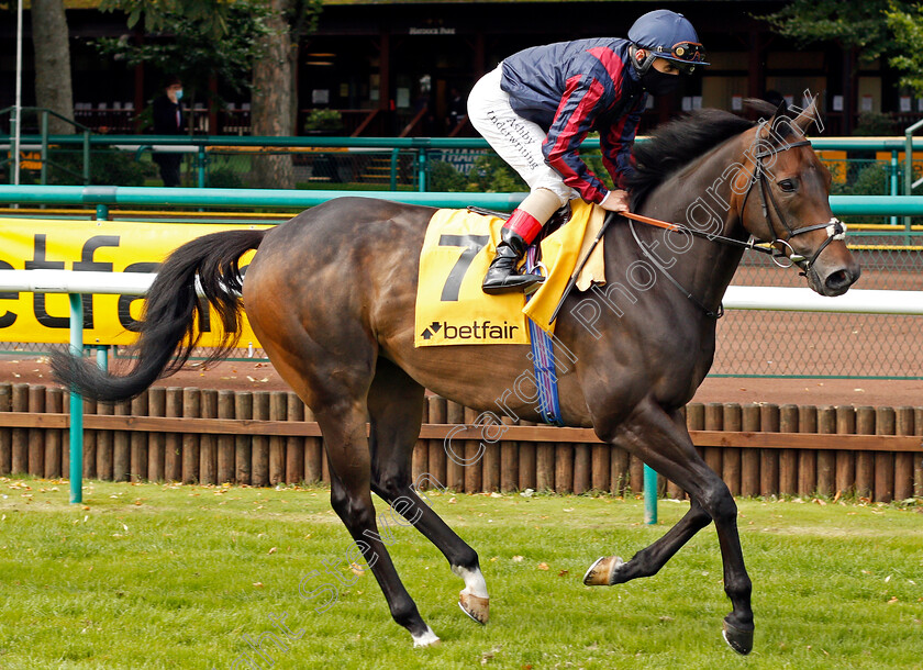 The-Tin-Man-0001 
 THE TIN MAN (Andrea Atzeni)
Haydock 5 Sep 2020 - Pic Steven Cargill / Racingfotos.com