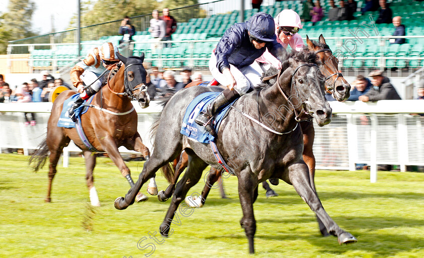 Caravaggio-0002 
 CARAVAGGIO (Ryan Moore) wins The Derrinstown Stud Flying Five Stakes Curragh 10 Sep 2017 - Pic Steven Cargill / Racingfotos.com