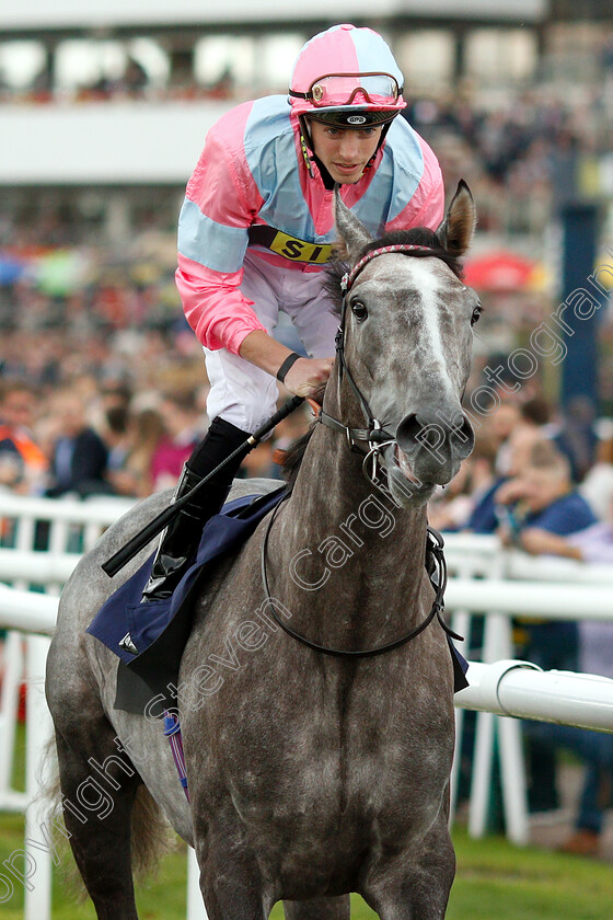 Phoenix-Of-Spain-0001 
 PHOENIX OF SPAIN (James Doyle)
Newmarket 15 Sep 2018 - Pic Steven Cargill / Racingfotos.com