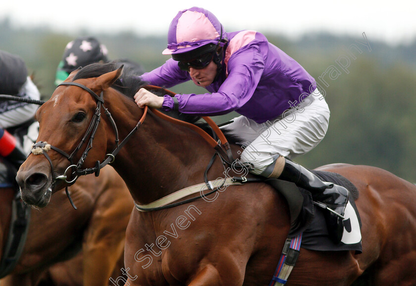 Mountain-Peak-0006 
 MOUNTAIN PEAK (Liam Keniry) wins The Halgarten Wines Handicap
Ascot 8 Sep 2018 - Pic Steven Cargill / Racingfotos.com