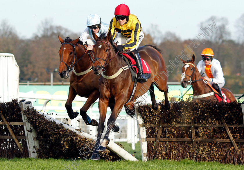 Castelfort-0004 
 CASTELFORT (David Noonan) wins The betting.betfair.com Introductory Juvenile Hurdle
Sandown 8 Dec 2023 - pic Steven Cargill / Racingfotos.com