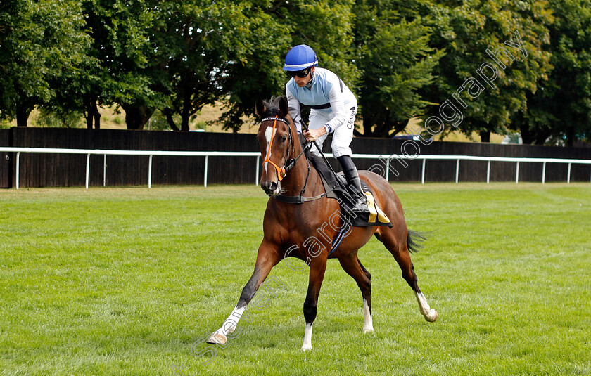 Premiere-Beauty-0001 
 PREMIERE BEAUTY (Kieran Shoemark)
Newmarket 30th July 2022 - Pic Steven Cargill / Racingfotos.com