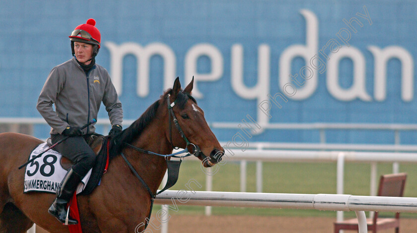 Summerghand-0001 
 SUMMERGHAND exercising for trainer David O'Meara
Meydan, Dubai, 3 Feb 2022 - Pic Steven Cargill / Racingfotos.com