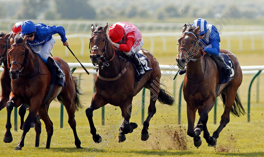 Shabeeb-0004 
 SHABEEB (right, Jim Crowley) beats SHRAAOH (centre) and ALQAMAR (left) in The Edmondson Hall Solicitors & Sports Lawyers Handicap Newmarket 18 May 2018 - Pic Steven Cargill / Racingfotos.com