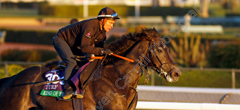 King-Of-Steel-0007 
 KING OF STEEL training for The Breeders' Cup Turf
Santa Anita 2 Nov 2023 - Pic Steven Cargill / Racingfotos.com