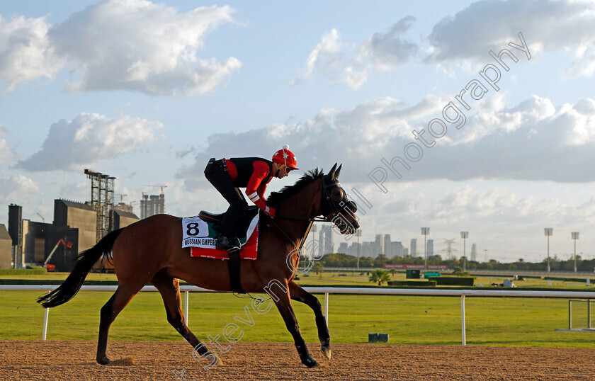 Russian-Emperor-0001 
 RUSSIAN EMPEROR training for the Sheema Classic
Meydan, Dubai, 23 Mar 2023 - Pic Steven Cargill / Racingfotos.com