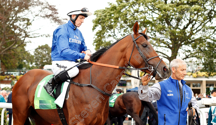 Benbatl-0001 
 BENBATL (Jim Crowley)
York 22 Aug 2018 - Pic Steven Cargill / Racingfotos.com