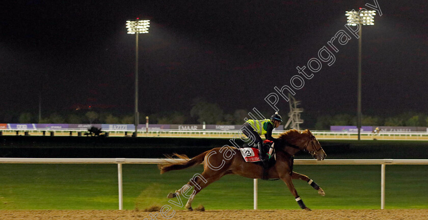 Derma-Sotogake-0001 
 DERMA SOTOGAKE training for The Dubai World Cup
Meydan Dubai 26 Mar 2024 - Pic Steven Cargill / Racingfotos.com