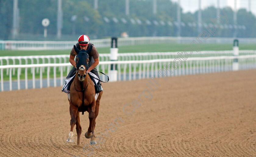 Ladies-Church-0003 
 LADIES CHURCH training at the Dubai Racing Carnival 
Meydan 4 Jan 2024 - Pic Steven Cargill / Racingfotos.com