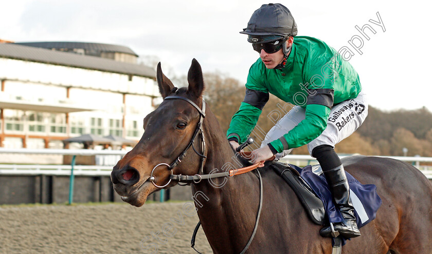 Fizzy-Feet-0004 
 FIZZY FEET (Richard Kingscote) wins The Betway Heed Your Hunch Handicap
Lingfield 9 Dec 2019 - Pic Steven Cargill / Racingfotos.com