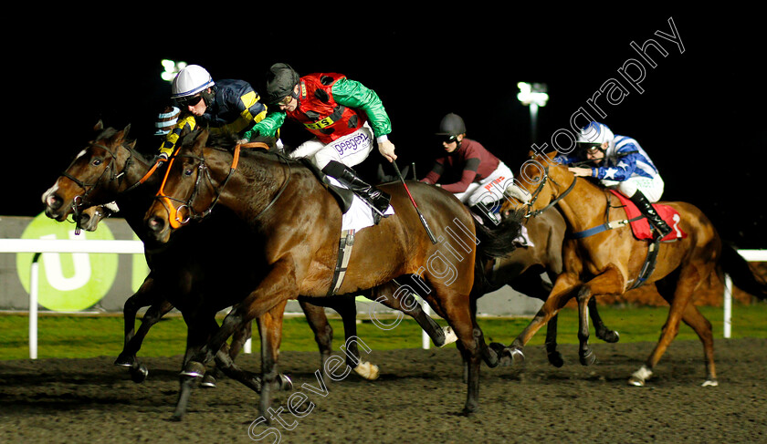 Chloellie-0003 
 CHLOELLIE (David Probert) wins The Join Racing TV Now Fillies Handicap
Kempton 16 Jan 2019 - Pic Steven Cargill / Racingfotos.com