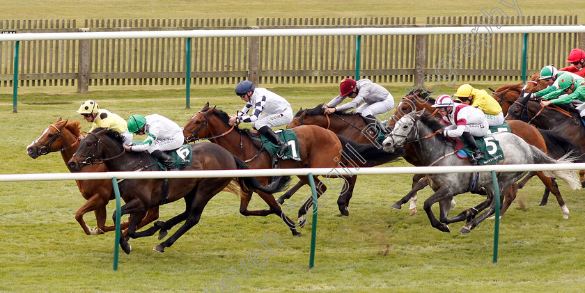 Flavius-Titus-0001 
 FLAVIUS TITUS (Andrea Atzeni) beats GREEN POWER (6) SUMMERGHAND (1) and ICE LORD (5) in The Weatherbys TBA Handicap
Newmarket 16 Apr 2019 - Pic Steven Cargill / Racingfotos.com