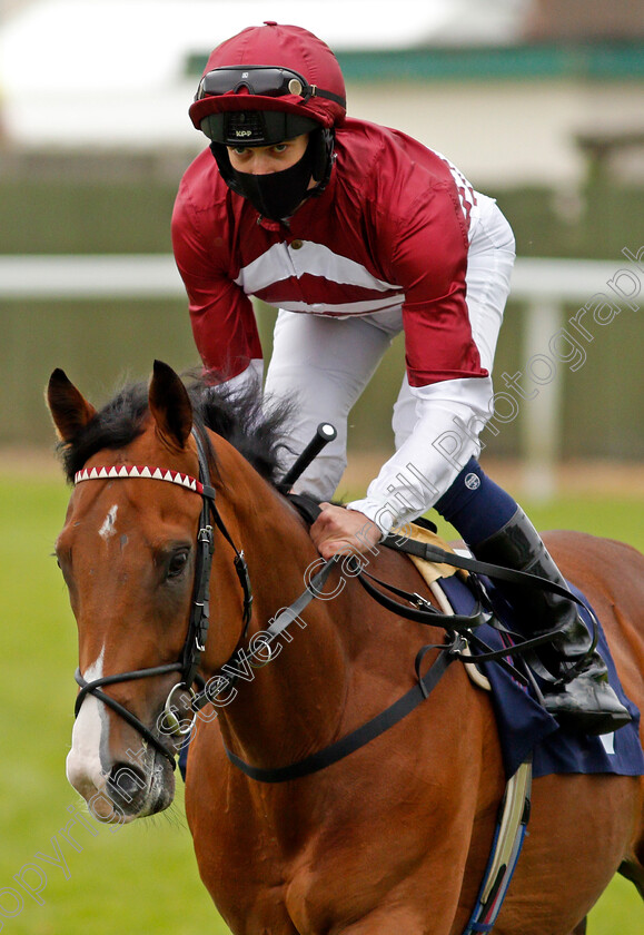 Pocket-The-Profit-0001 
 POCKET THE PROFIT (Mark Crehan)
Yarmouth 1 Jul 2021 - Pic Steven Cargill / Racingfotos.com