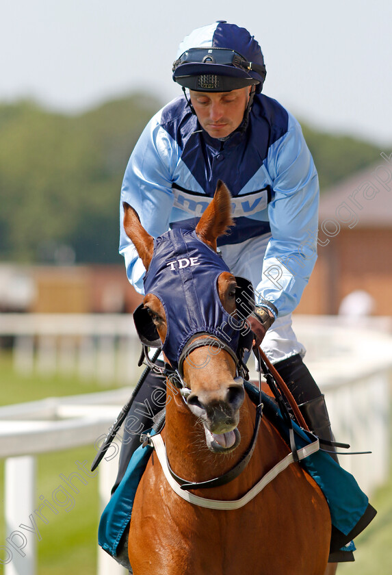 Missutoo-0001 
 MISSUTOO (Duran Fentiman)
York 16 Jun 2023 - Pic Steven Cargill / Racingfotos.com