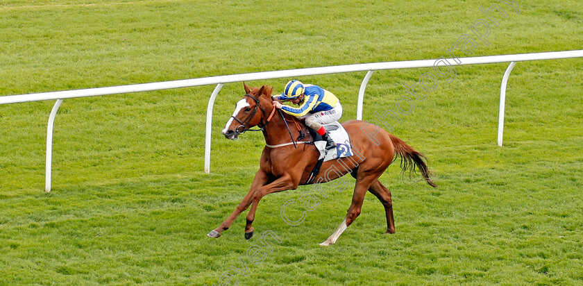 Belisa-0002 
 BELISA (Andrea Atzeni) wins The Collect Totepool Winnings At Betfred Shops Handicap Leicester 28 Apr 2018 - Pic Steven Cargill / Racingfotos.com