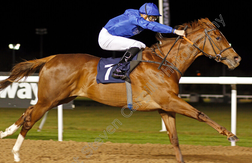 Silent-Escape-0006 
 SILENT ESCAPE (Hector Crouch) wins The Bombardier British Hopped Amber Beer Novice Stakes
Wolverhampton 24 Nov 2020 - Pic Steven Cargill / Racingfotos.com