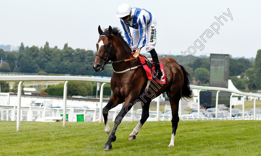 Chief-Ironside-0001 
 CHIEF IRONSIDE (Jamie Spencer)
Sandown 5 Jul 2019 - Pic Steven Cargill / Racingfotos.com