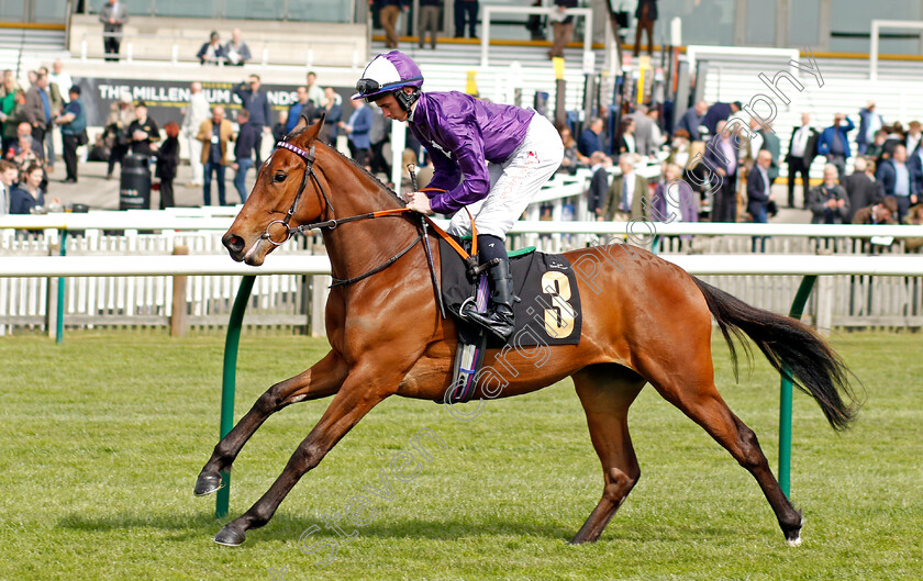 Dreaming-Princess 
 DREAMING PRINCESS (Rossa Ryan)
Newmarket 12 Apr 2022 - Pic Steven Cargill / Racingfotos.com