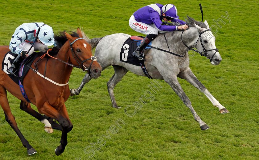 Highland-Rocker-0005 
 HIGHLAND ROCKER (right, Robert Havlin) beats WITHOUT REVENGE (left) in The Chichester City Handicap
Goodwood 29 Aug 2021 - Pic Steven Cargill / Racingfotos.com