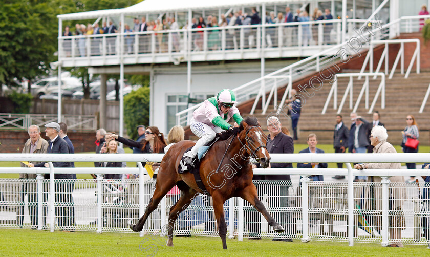 Royal-Scotsman-0003 
 ROYAL SCOTSMAN (Jim Crowley) wins The William Hill Acca Club British EBF Novice Stakes
Goodwood 20 May 2022 - Pic Steven Cargill / Racingfotos.com