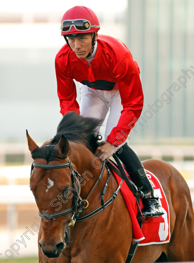 Drummore-0001 
 DRUMMORE (Szcepan Mazur)
Meydan 7 Mar 2020 - Pic Steven Cargill / Racingfotos.com