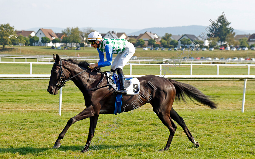 Princess-Badee-0001 
 PRINCESS BADEE (Michael Cadeddu) 
Baden Baden 31 Aug 2024 - Pic Steven Cargill / Racingfotos.com