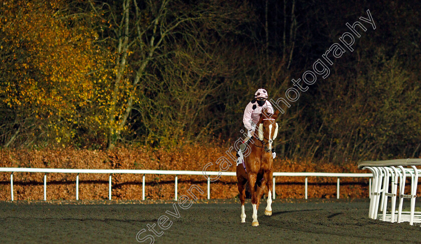 Jeremiah-0001 
 JEREMIAH (Andrea Atzeni)
Kempton 2 Dec 2020 - Pic Steven Cargill / Racingfotos.com