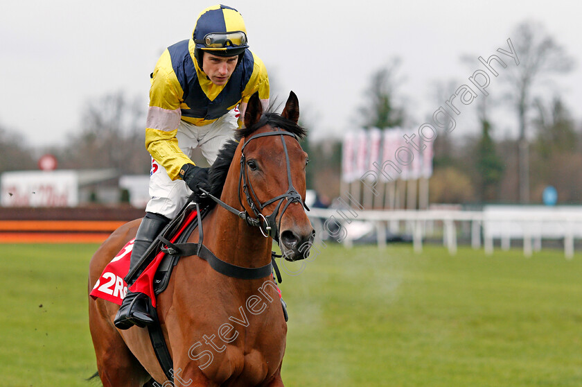 Shantou-Rock-0002 
 SHANTOU ROCK (Harry Skelton) Kempton 27 Dec 2017 - Pic Steven Cargill / Racingfotos.com