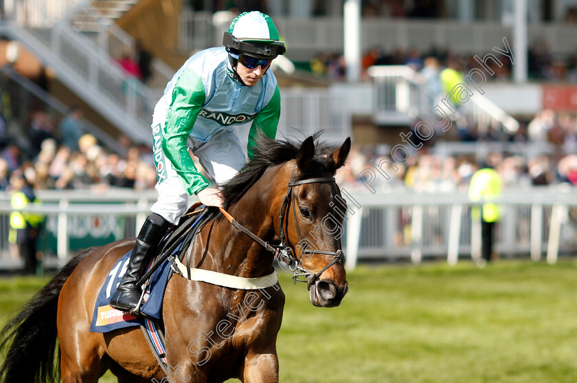 You-Wear-It-Well-0002 
 YOU WEAR IT WELL (Gavin Sheehan)
Aintree 15 Apr 2023 - Pic Steven Cargill / Racingfotos.com