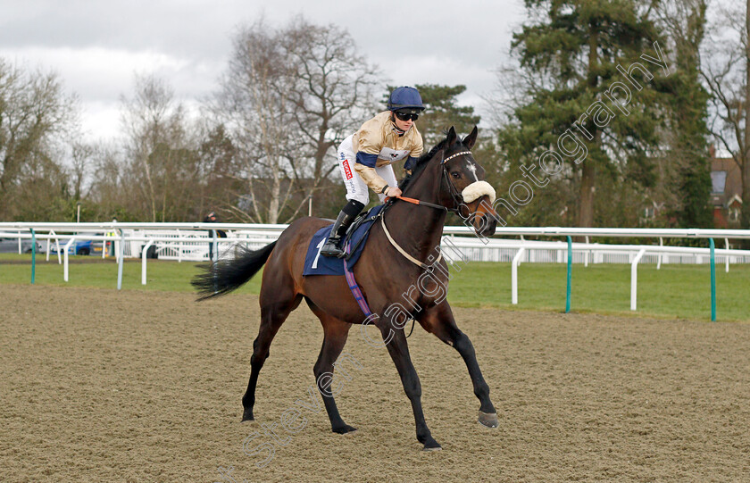 Al-Zaraqaan-0001 
 AL ZARAQAAN (Hollie Doyle)
Lingfield 5 Feb 2022 - Pic Steven Cargill / Racingfotos.com