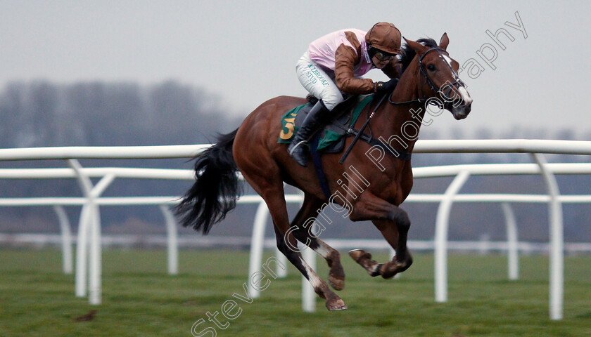 Faivoir-0003 
 FAIVOIR (Bridget Andrews) wins The tote's Back Tomorrow With Another Placepot Standard Open National Hunt Flat Race
Bangor-On-Dee 7 Feb 2020 - Pic Steven Cargill / Racingfotos.com