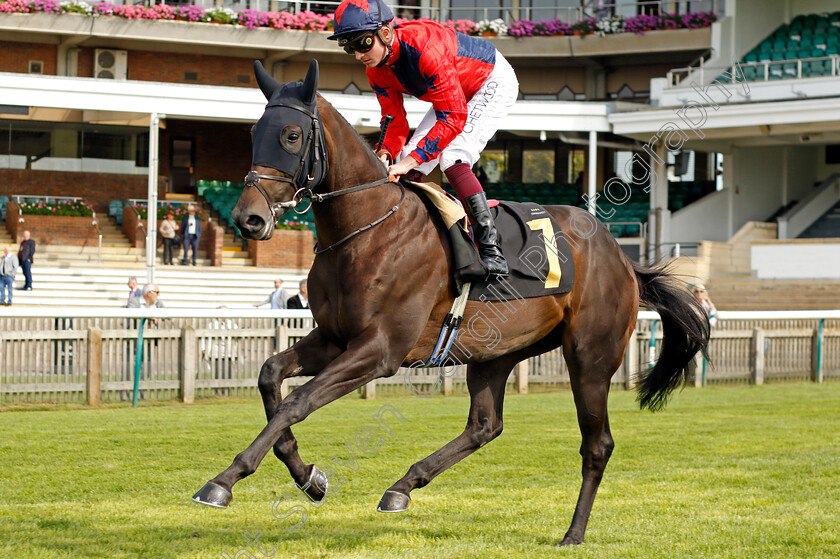 Sovereign-Spirit-0001 
 SOVEREIGN SPIRIT (Rob Hornby)
Newmarket 22 Sep 2022 - Pic Steven Cargill / Racingfotos.com