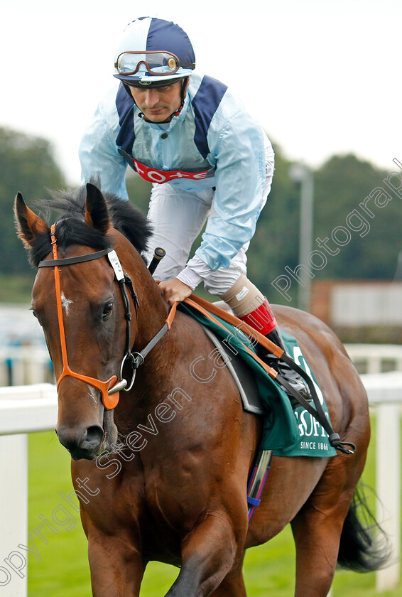 Love-Billy-Boy-0002 
 LOVE BILLY BOY (Andrea Atzeni)
York 24 Aug 2023 - Pic Steven Cargill / Racingfotos.com