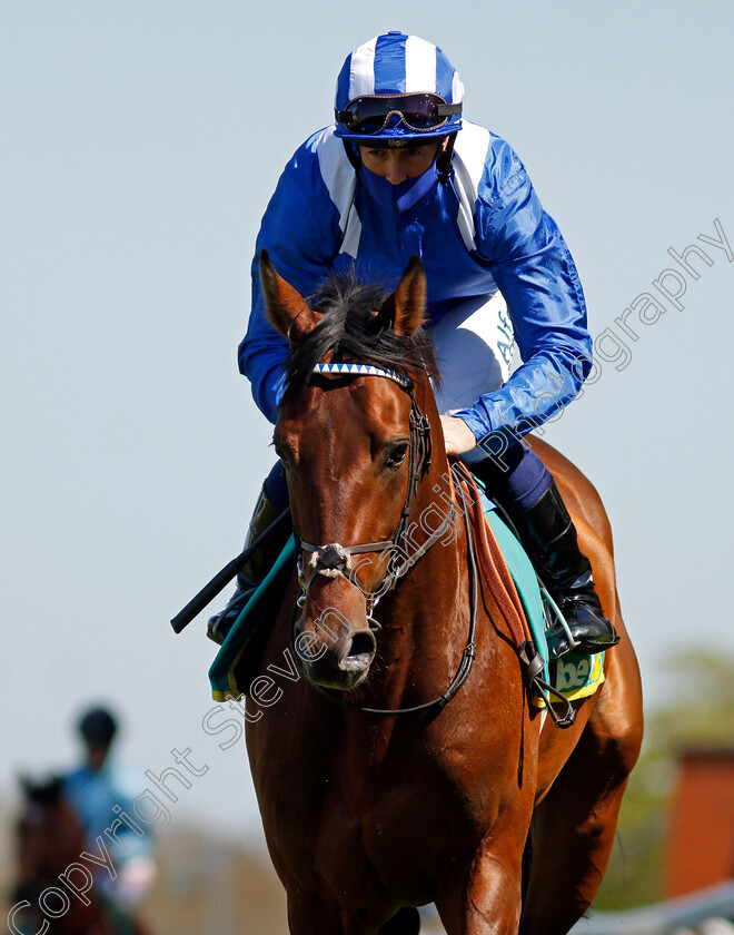 Hukum-0001 
 HUKUM (Jim Crowley)
Sandown 23 Apr 2021 - Pic Steven Cargill / Racingfotos.com