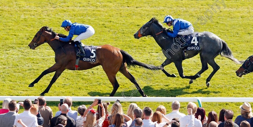 Tribal-Quest-0003 
 TRIBAL QUEST (William Buick) beats YAFTA (right) in The Hot Streak Handicap Newmarket 5 May 2018 - Pic Steven Cargill / Racingfotos.com