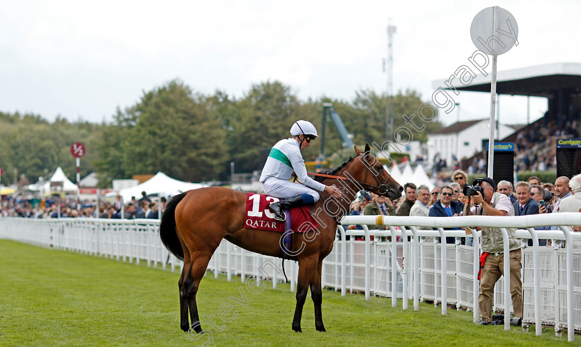 Suesa-0006 
 SUESA (William Buick) after The King George Qatar Stakes
Goodwood 30 Jul 2021 - Pic Steven Cargill / Racingfotos.com