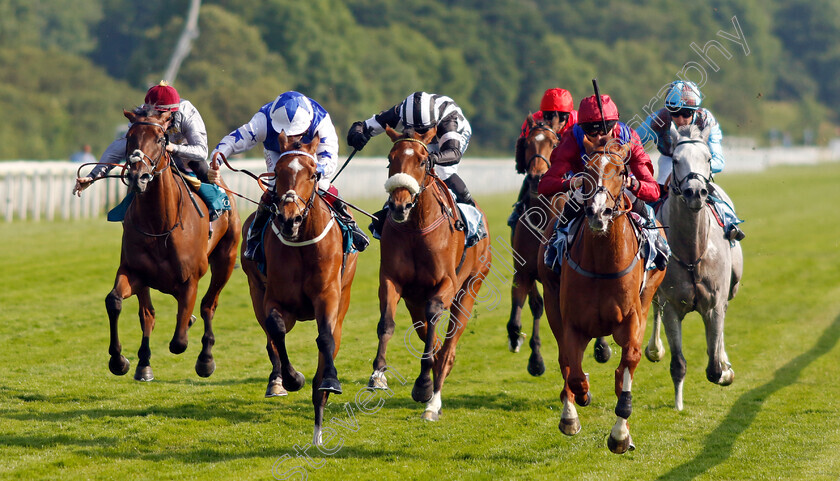 Diamond-Bay-0006 
 DIAMOND BAY (right, Daniel Tudhope) beats STATE LEGEND (left) in The Constant Security Handicap
York 16 Jun 2023 - Pic Steven Cargill / Racingfotos.com