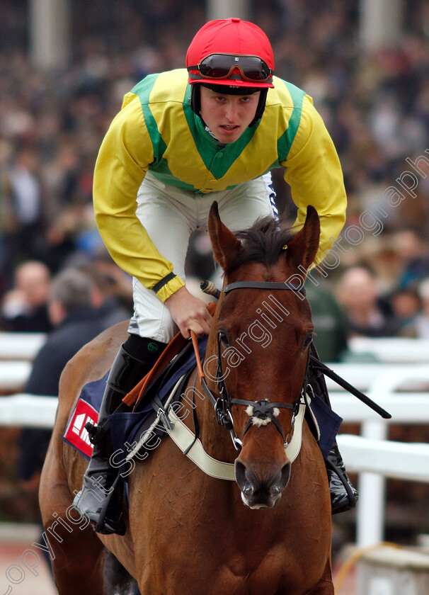 Bally-Longford-0001 
 BALLY LONGFORD (Noel George)
Cheltenham 16 Nov 2018 - Pic Steven Cargill / Racingfotos.com