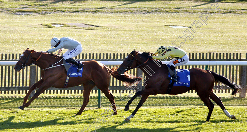 Communique-0002 
 COMMUNIQUE (Ryan Moore) beats BARSANTI (right) in The Mukhadram Godolphin Stakes
Newmarket 28 Sep 2018 - Pic Steven Cargill / Racingfotos.com