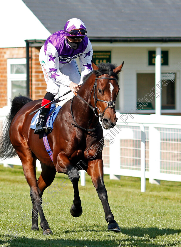 No-Day-Never-0001 
 NO DAY NEVER (Shane Kelly)
Salisbury 1 Oct 2020 - Pic Steven Cargill / Racingfotos.com